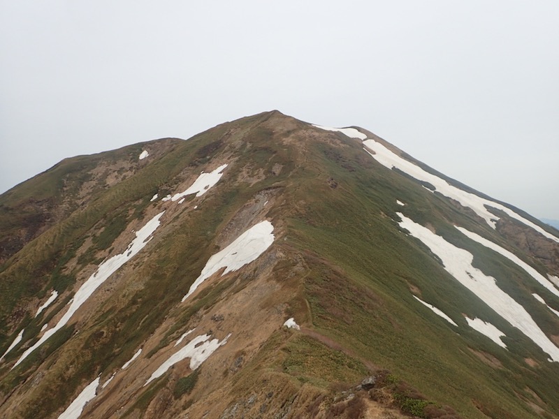 仙ノ倉山への登りだ